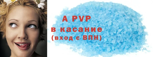 дживик Переславль-Залесский