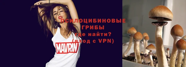 твердый Покров