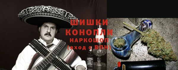 дживик Переславль-Залесский