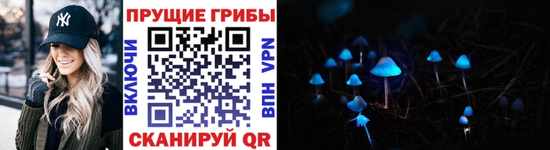 Псилоцибиновые грибы GOLDEN TEACHER  ссылка на мегу вход  Козельск 